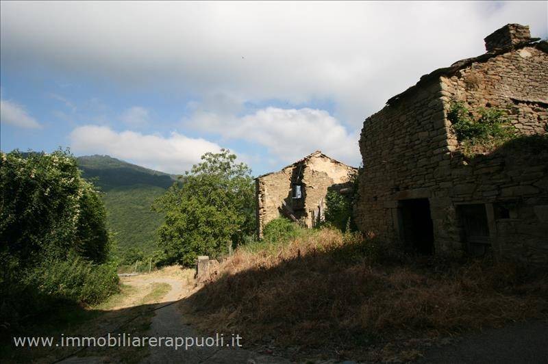 Rustico / casale a Cortona - Foto 5