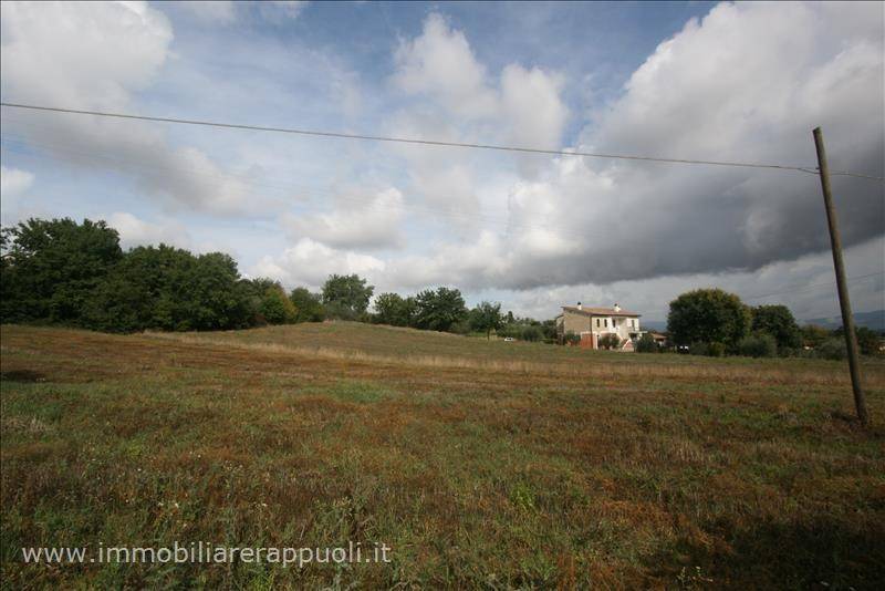 Terreno a Foiano della chiana - Foto 2