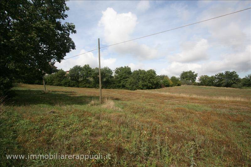 Terreno a Foiano della chiana - Foto 3