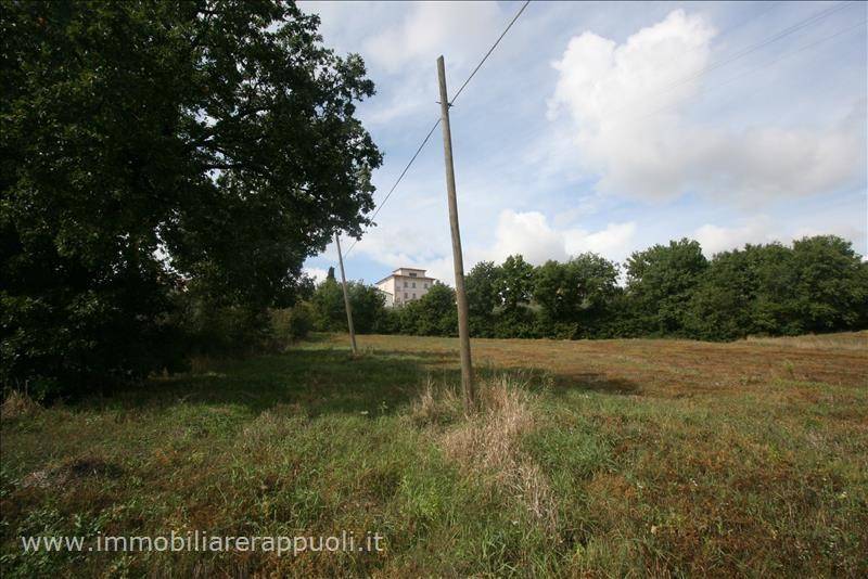 Terreno a Foiano della chiana - Foto 4