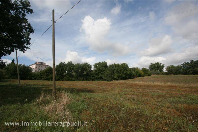 Terreno a Foiano della chiana - Foto 5