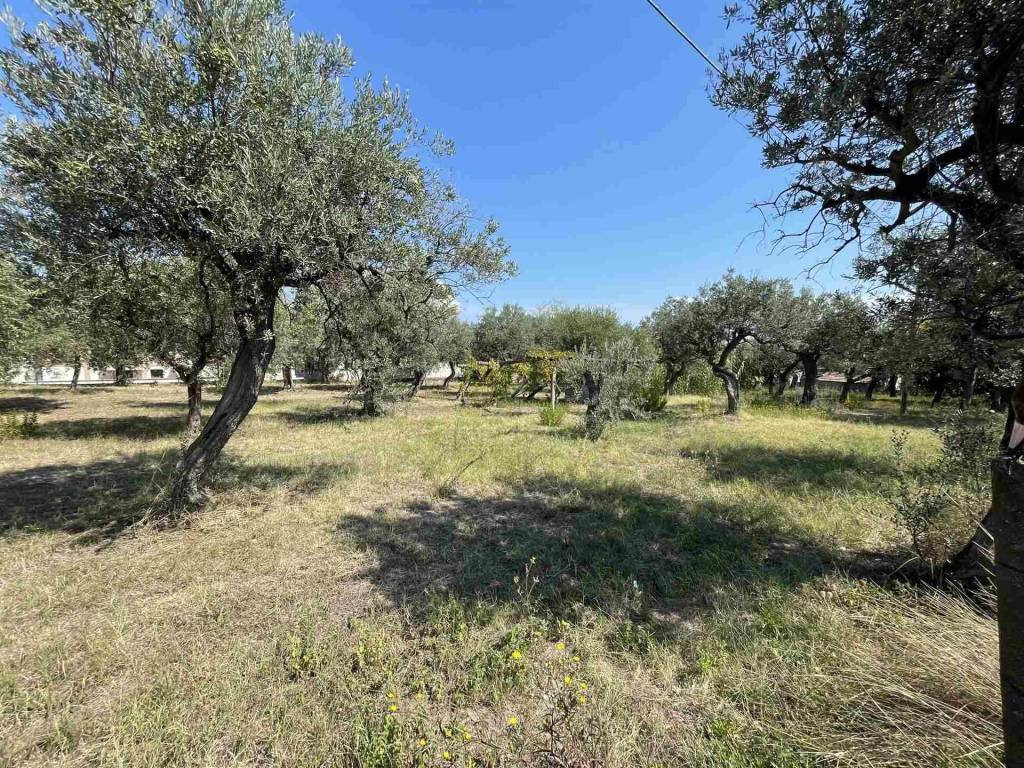 Terreno a Vasto in Via dei Bontempi - Foto 2