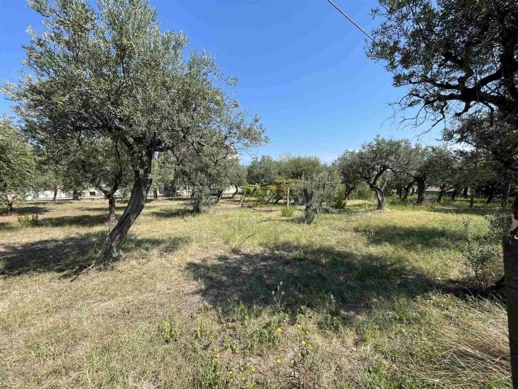 Terreno a Vasto in Via dei Bontempi - Foto 3