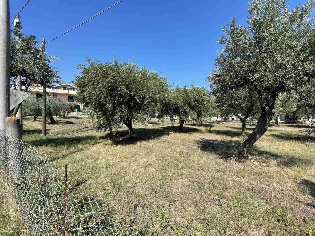 Terreno a Vasto in Via dei Bontempi - Foto 4