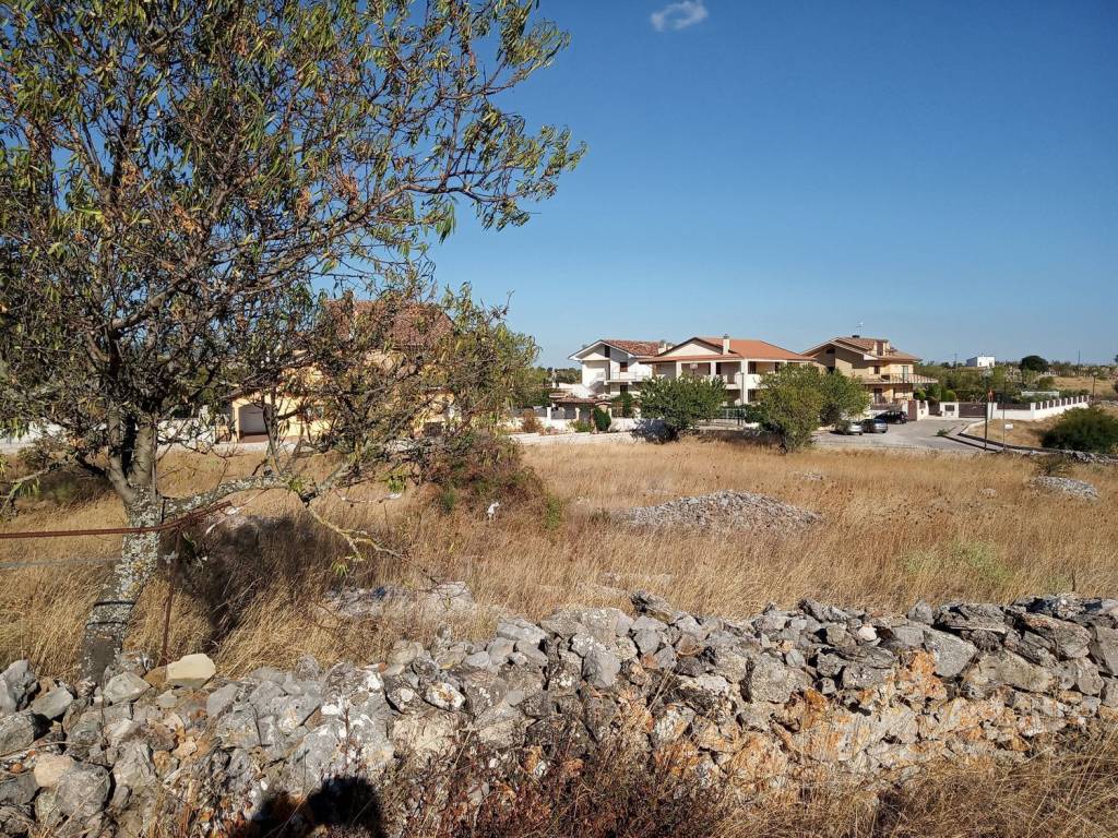 Terreno a Rignano garganico in Contrada Montesacro S.N.C. - Foto 2