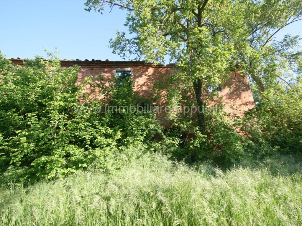 Rustico / casale a Cortona - Foto 4