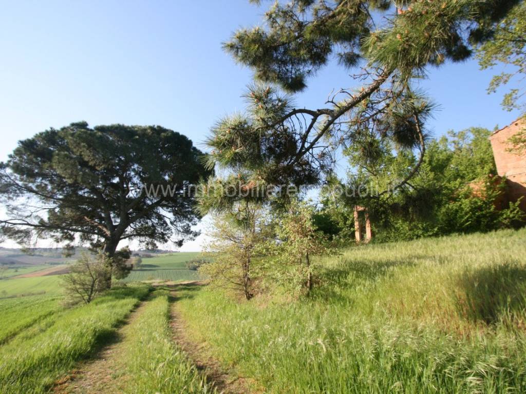 Rustico / casale a Cortona - Foto 5