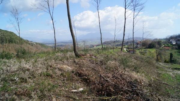 Rustico / casale a Piana di monte verna - Foto 2