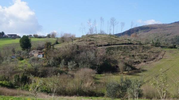 Rustico / casale a Piana di monte verna - Foto 3