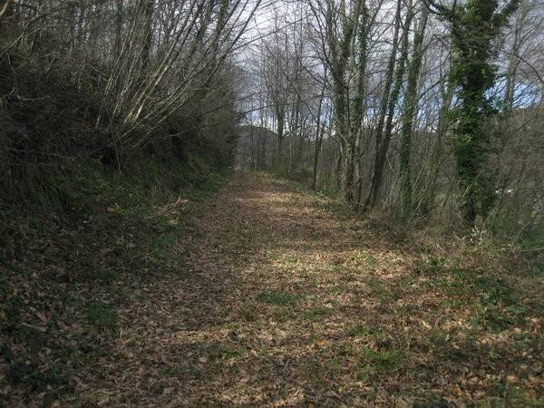 Rustico / casale a Piana di monte verna - Foto 5