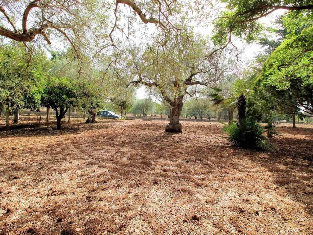 Rustico / casale a Chiaramonte gulfi - Foto 5