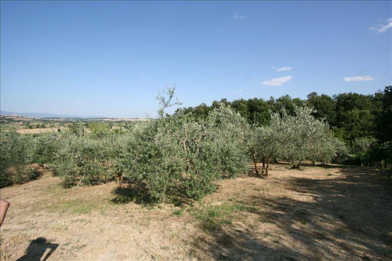 Terreno a Foiano della chiana - Foto 2
