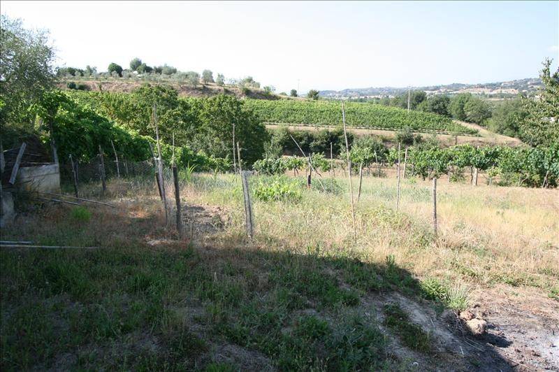 Terreno a Foiano della chiana - Foto 3