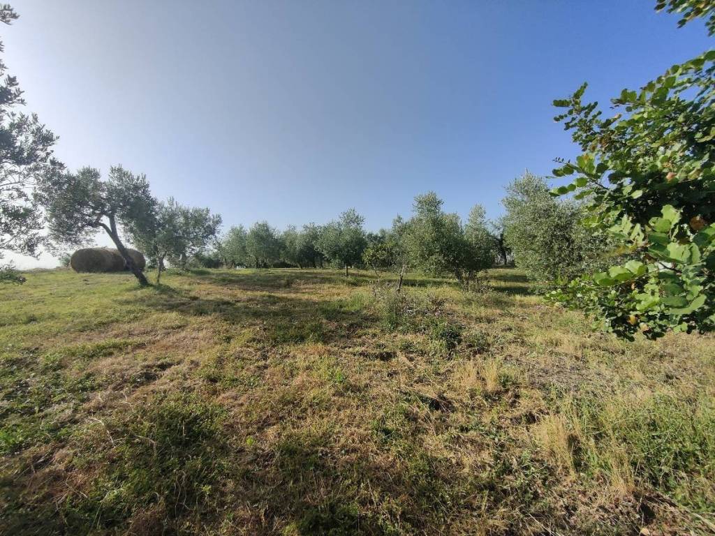 Terreno a Amelia - Foto 4