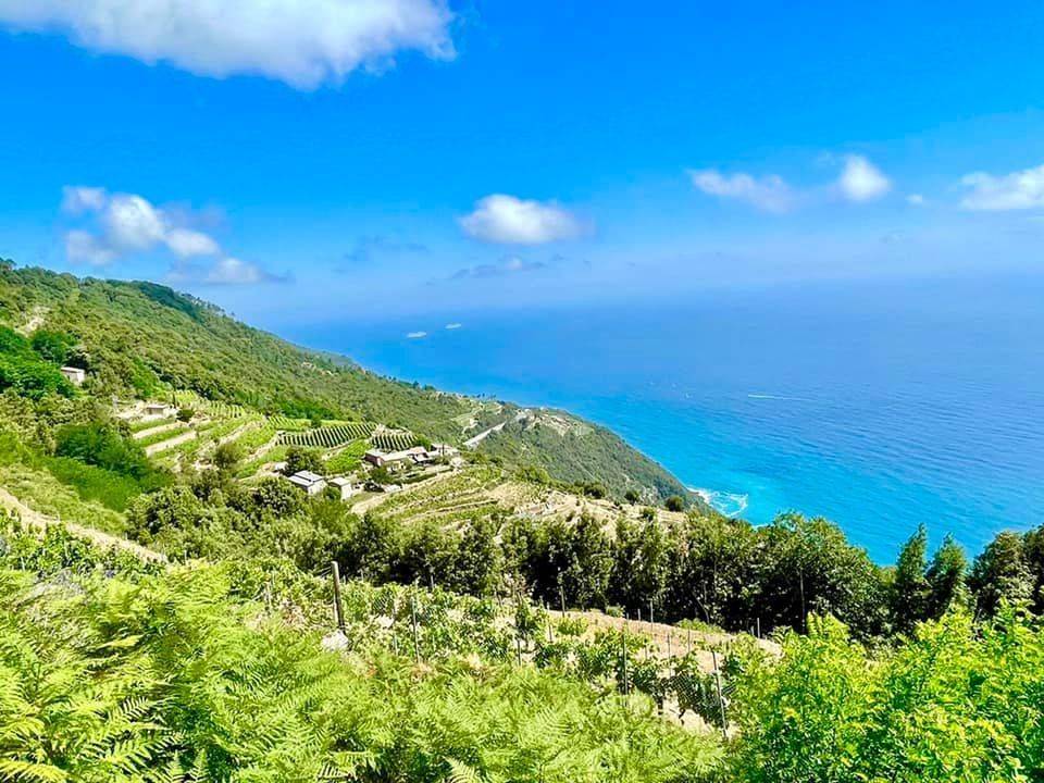 Rustico / casale a Vernazza in Località San Bernardino - Foto 4