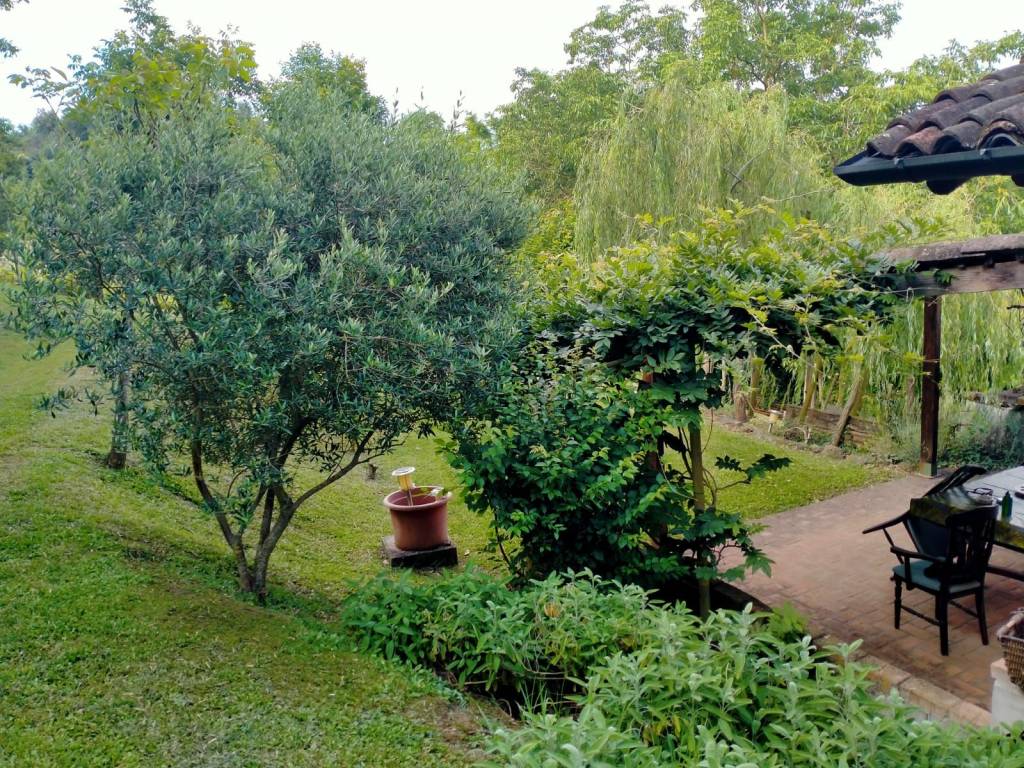 Rustico / casale a Castell'arquato - Foto 5