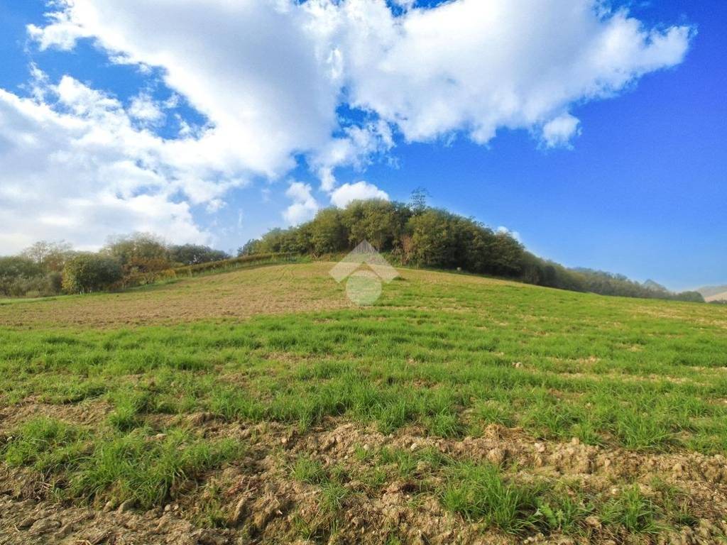 Terreno a Rapagnano in Via Boschetto - Foto 5