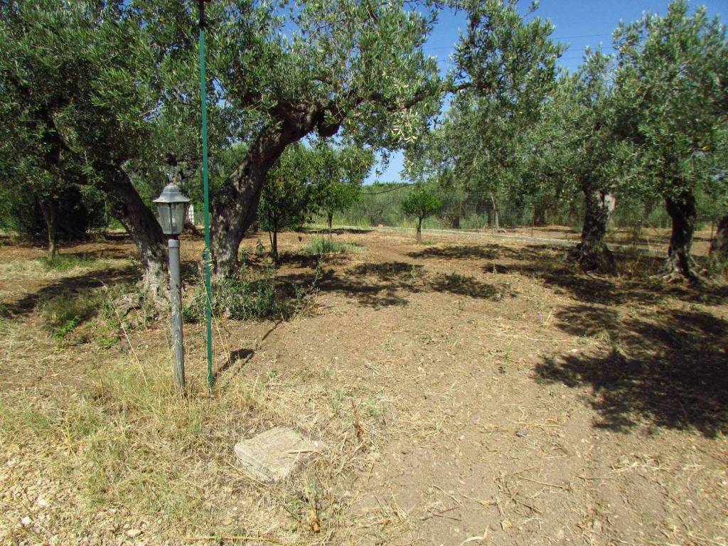 Casa indipendente a Sciacca in Contrada Cartabubbo - Foto 5