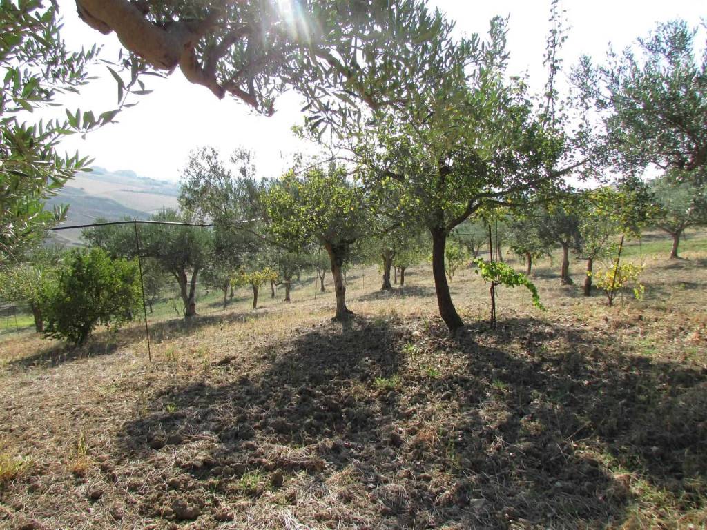 Casa indipendente a Sciacca in Contrada Ragana - Foto 2
