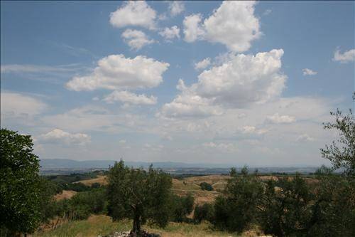 Rustico / casale a Torrita di siena - Foto 5