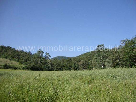 Rustico / casale a Torrita di siena - Foto 2