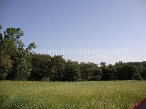 Rustico / casale a Torrita di siena - Foto 3