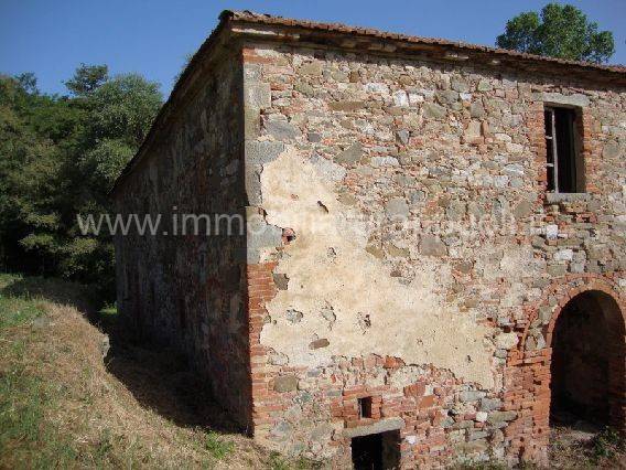 Rustico / casale a Torrita di siena - Foto 4