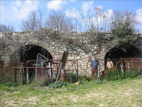 Rustico / casale a Asciano - Foto 3