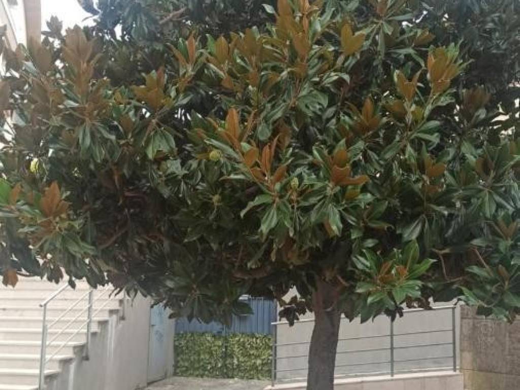 Appartamento a Matera in Via Fratelli Rosselli - Foto 2