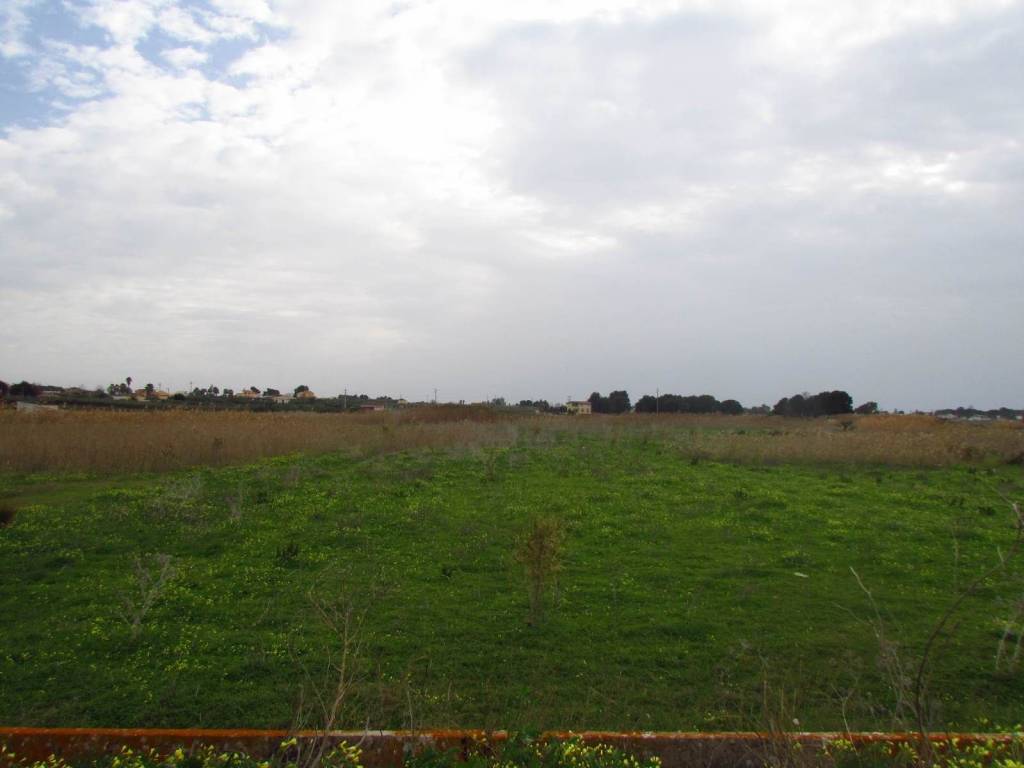 Terreno a Menfi in Località Fiori - Foto 3