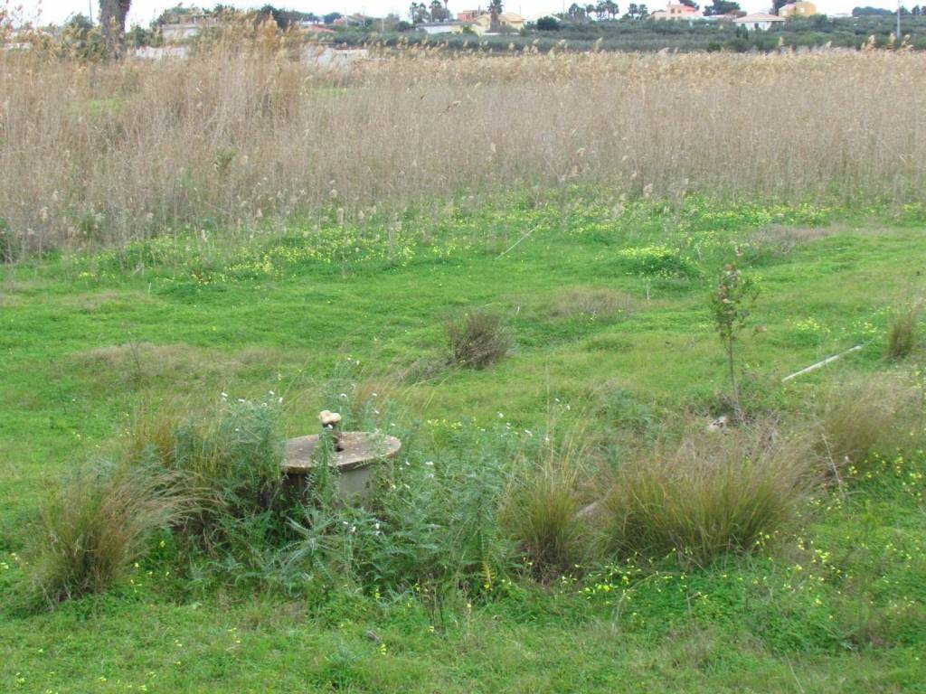 Terreno a Menfi in Località Fiori - Foto 5