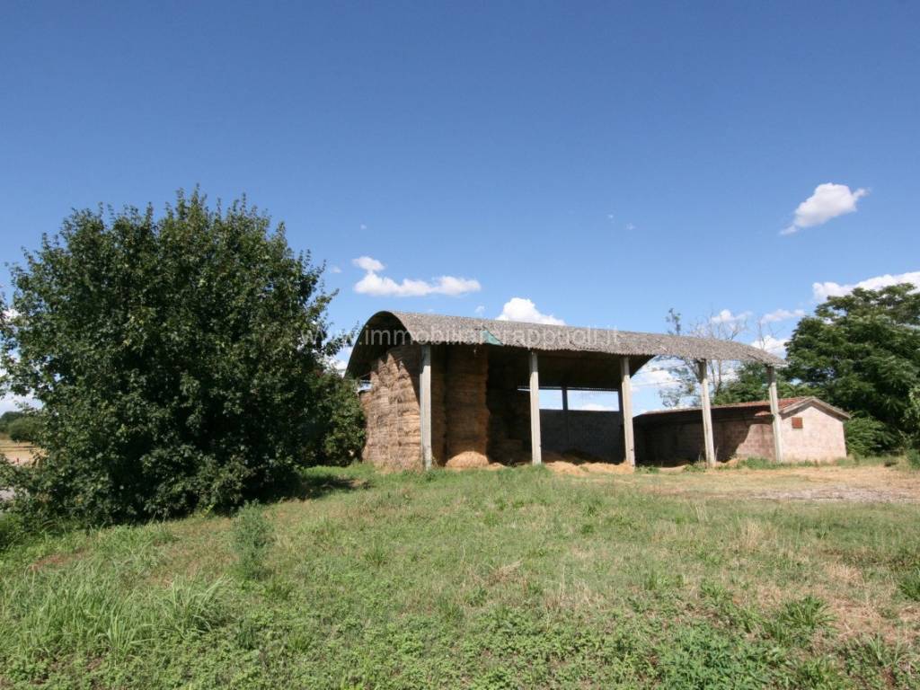 Rustico / casale a Torrita di siena - Foto 2