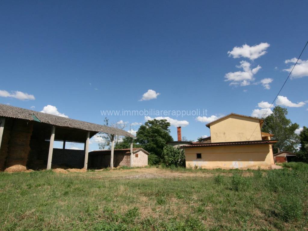 Rustico / casale a Torrita di siena - Foto 3