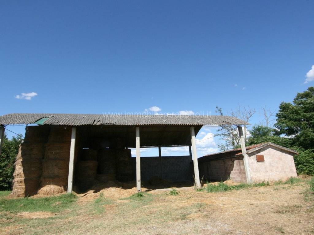 Rustico / casale a Torrita di siena - Foto 4