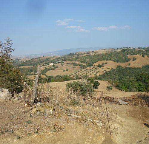 Terreno a Scansano - Foto 3