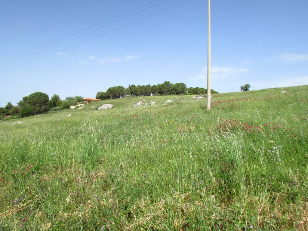Terreno a Sambuca di sicilia in Contrada Cicale - Foto 2