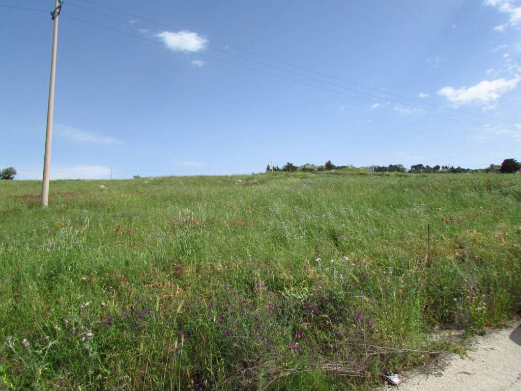 Terreno a Sambuca di sicilia in Contrada Cicale - Foto 4