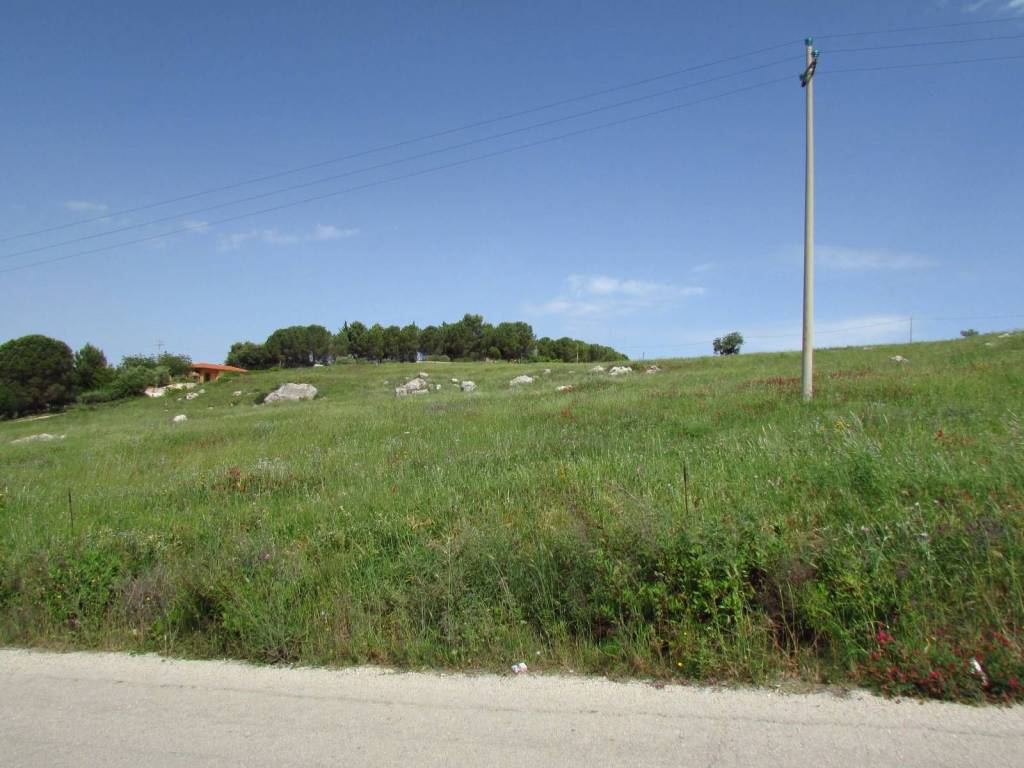 Terreno a Sambuca di sicilia in Contrada Cicale - Foto 5