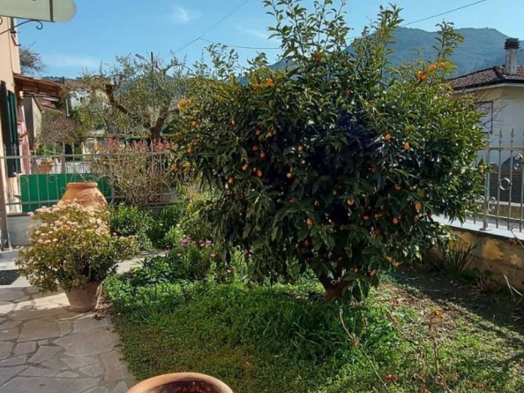 Casa indipendente a Massarosa - Foto 4