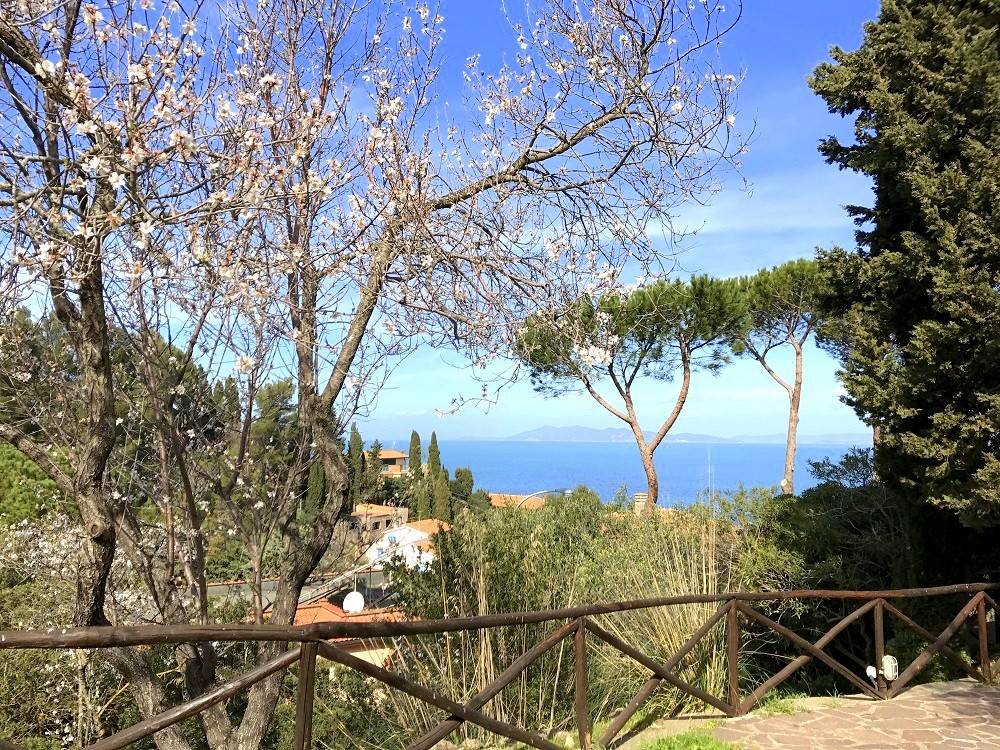 Villa a Monte argentario in Località Punta Nera - Foto 3