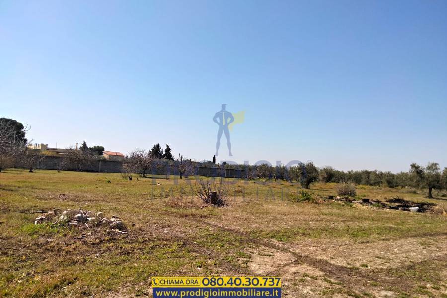 Terreno a Bisceglie - Foto 2