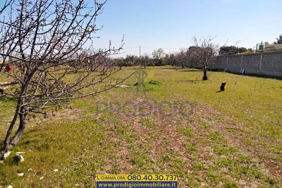 Terreno a Bisceglie - Foto 4