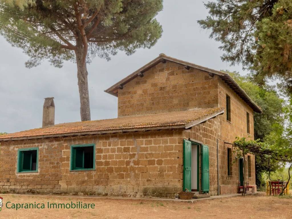 Rustico / casale a Capranica in Località Paliano S.N.C. - Foto 2