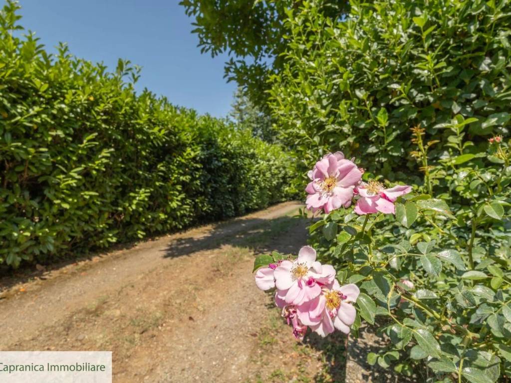 Villa a Capranica in Località Campo Padella S.N.C. - Foto 3