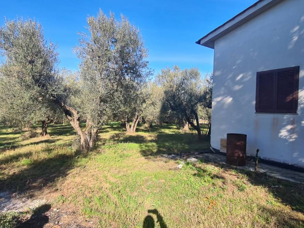 Terreno a Vetralla in Strada Provinciale Vetrallese - Foto 2