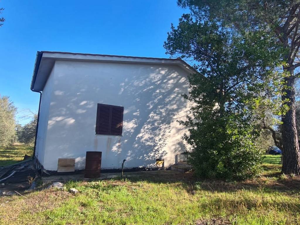 Terreno a Vetralla in Strada Provinciale Vetrallese - Foto 3