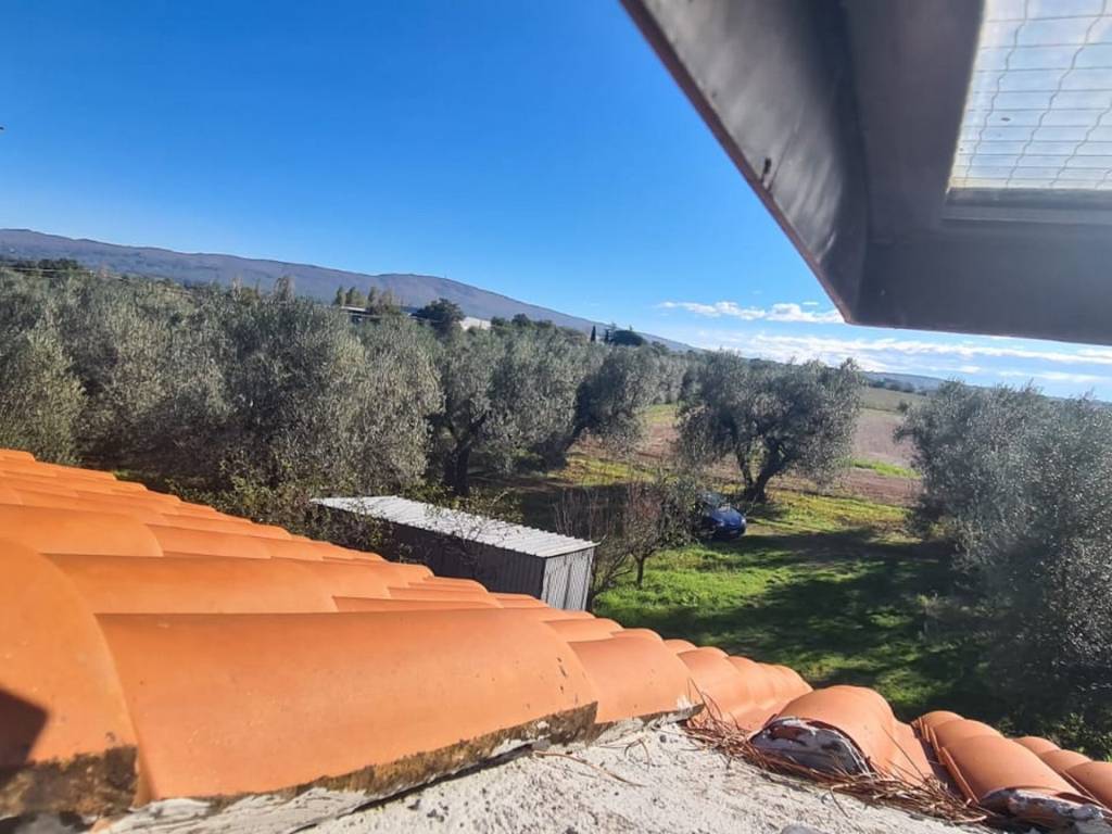 Terreno a Vetralla in Strada Provinciale Vetrallese - Foto 4