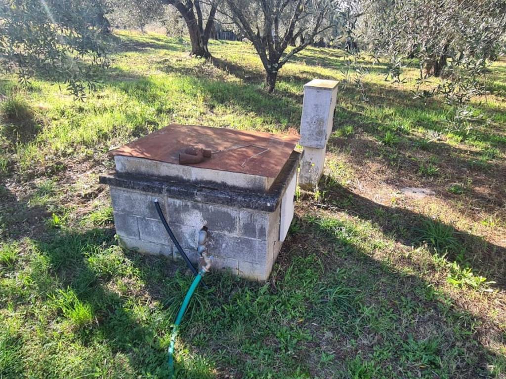 Terreno a Vetralla in Strada Provinciale Vetrallese - Foto 5