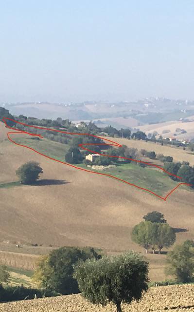 Terreno a Recanati in Contrada San Francesco, 115 - Foto 2