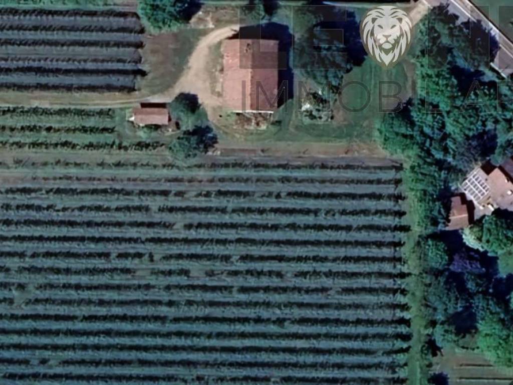 Rustico / casale a Spilamberto - Foto 4